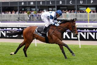 Miami Bound (NZ) dominant in the 2019 G1 VRC Oaks at Flemington.